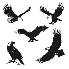 Obraz premium eagle icon set of 6 silhouette icon vector on whit.eps