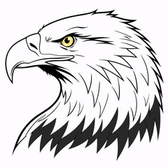 eagle head vector illustration