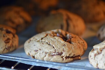 Freshly Baked Chocolate Chip Cookies in Oven