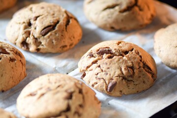 Freshly Baked Chocolate Chip Cookies in Oven