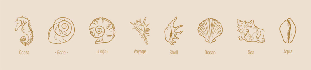 Boho sea shell logo collection. Hand drawn line illustration pastel color for print, menu. Summer beach ink doodle elements. Vector coastal marine icons. Clam, conch, cockle, scallop shells, seahorse.