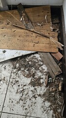 Plywood and fragile wood affected by termites and their debris on the floor.