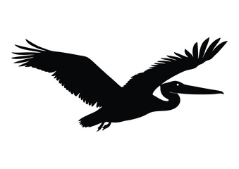 Obraz premium Silhouette of a pelican in flight vector design for t-shirts and logos