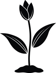 black and white plant
