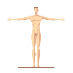 Anatomical Illustration of a Male Figure with Arms Outstretched on a White Background Graphic Style