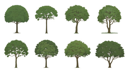 set of vector green trees isolated white background
