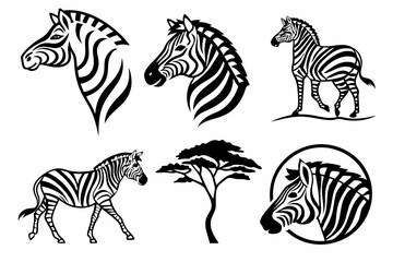 zebra