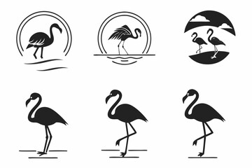 set of flamingo