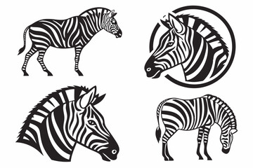 Obraz premium zebra vector illustration