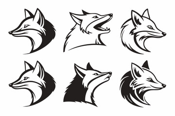 Obraz premium set of fox