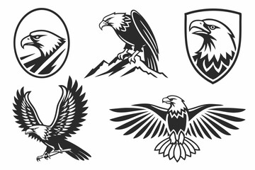 Obraz premium eagle with wings
