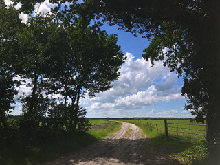 Wooden gate and view at the Uffelter Es at Uffelte Drenthe Netherlands. 