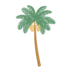 Isolated palm tree element on white background