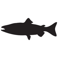 Salmon fish silhouette vector
