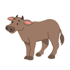 Cute Brown Cow