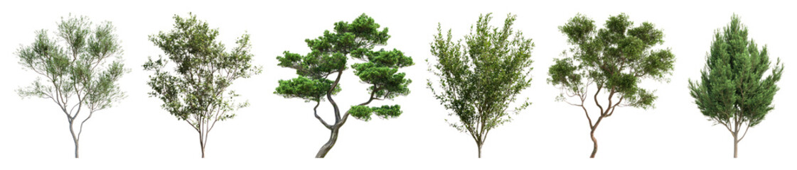 PNG Diverse trees in natural arrangement, element set on transparent background