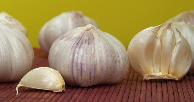 Garlic rotates on yellow background. Garlic, Allium sativum, species of bulbous flowering plants in genus Allium. Garlic - very healthy product with many beneficial properties for health