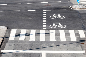 Crosswalk and bike lane markings in Copenhagen showing white bicycle symbols on dark asphalt and pedestrian lines on the street