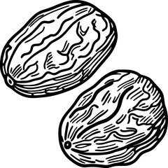 Obraz premium Nutmeg seed illustration, hand drawn engraving aromatic spice ingredient, black and white botanical sketch