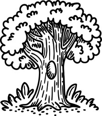 Hand drawn oak tree illustration with detailed trunk and branches vintage botanical drawing, isolated on white