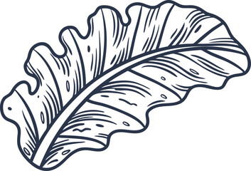 Obraz premium Detailed outline illustration of large tropical leaf, botanical line art drawing, natural foliage design