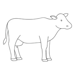 Fototapeta premium Simple Line Drawing of a Cow