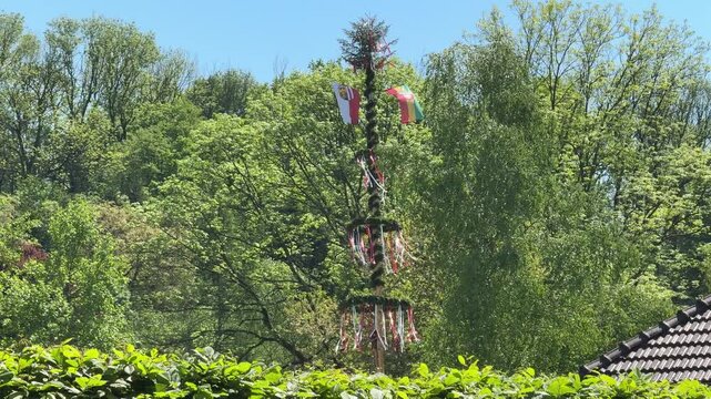 traditional maypole Maibaum in Austria