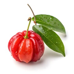 Surinam cherry on white background