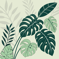 Monstera leaves and tropical plants illustration, botanical design, nature-inspired art, with copy space
