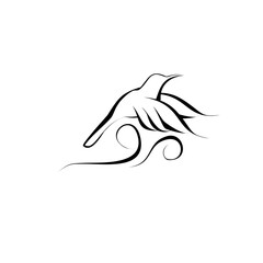bird line logo with wind flowing