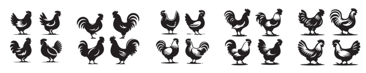 vector set of chicken silhouettes