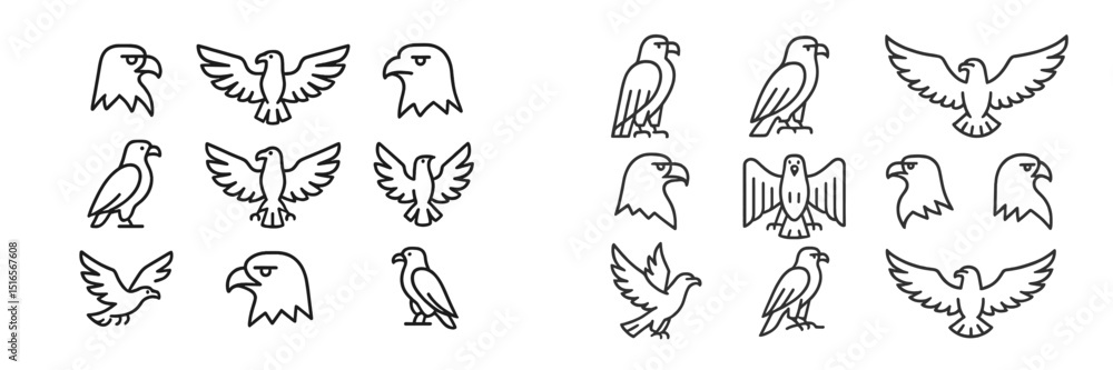 Poster detailed illustrations showcasing various bird designs with minimalist lines and shapes arranged in 