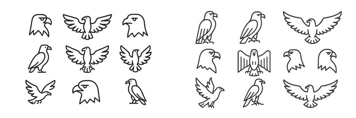 Detailed illustrations showcasing various bird designs with minimalist lines and shapes arranged in a grid format