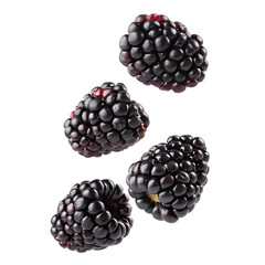 Fresh Blackberries Isolated on Transparent Background

