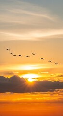 Obraz premium Silhouetted birds flying at sunset over dramatic cloudscape