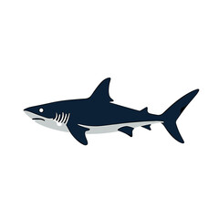 Obraz premium Simple Vector Illustration of a Dark Blue and White Shark Swimming to the Right on a White Background