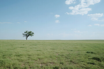 A vast green grass field with a solitary tree standing far away.