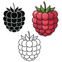 Raspberry Illustration Set Red, Black, and Outline Versions, Raspberry Illustration Variations Black White and Red