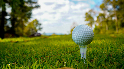 Golf ball on green grass in the evening golf course with sunshine background.