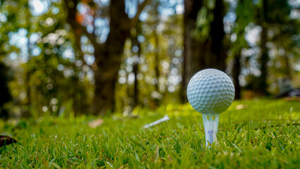 Golf ball on green grass in the evening golf course with sunshine background.