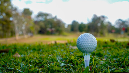 Golf ball on green grass in the evening golf course with sunshine background.