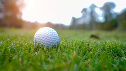 Golf ball is on a green lawn in a beautiful golf course with morning sunshine.