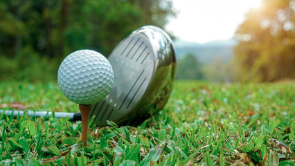Golf clubs and golf balls on a green lawn in a beautiful golf course with morning sunshine.