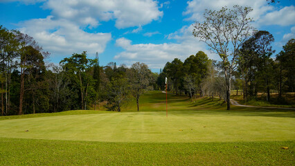 Green grass and woods on a golf field. View of Golf Course with beautiful putting green.