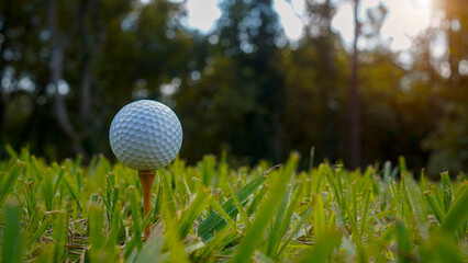 Golf ball on green grass in the evening golf course with sunshine background.