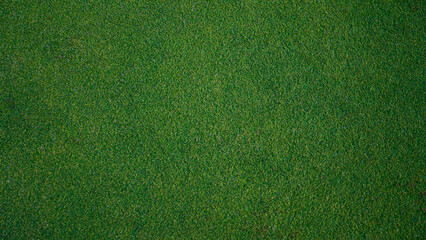 Green grass background, top view background of garden bright grass concept used for making green backdrop.