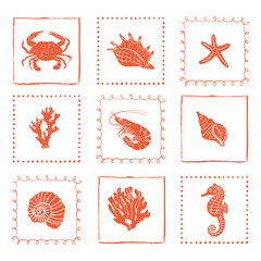 Set of various sea shells, starfishe,corals and marine animals. Woodcut style marine animals with vintage texture and bold engraving lines. Perfect for seafood menus, nautical themes, retro packaging