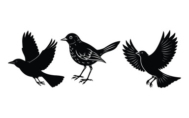 Black vector silhouette of a flying eagle, a wild bird illustration.