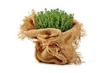 Thyme Herb in Burlap Sack, Isolated on White Background.