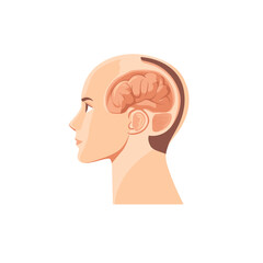 Human Head with Visible Brain Pixel Art Anatomy Illustration Depicting Medical Science Health and Intelligence on White Background